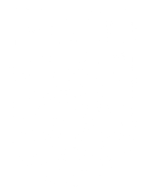 The Well